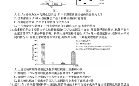 生物学安徽省县中联盟2025-2026学年高三上学期学情检测_2025年8月_250831安徽省县中联盟2025-2026学年高三上学期学情检测（6009C）（全科）