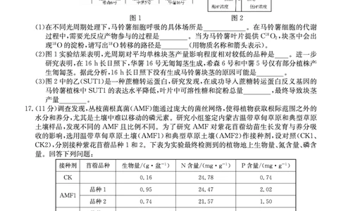 生物学安徽省县中联盟2025-2026学年高三上学期学情检测_2025年8月_250831安徽省县中联盟2025-2026学年高三上学期学情检测（6009C）（全科）