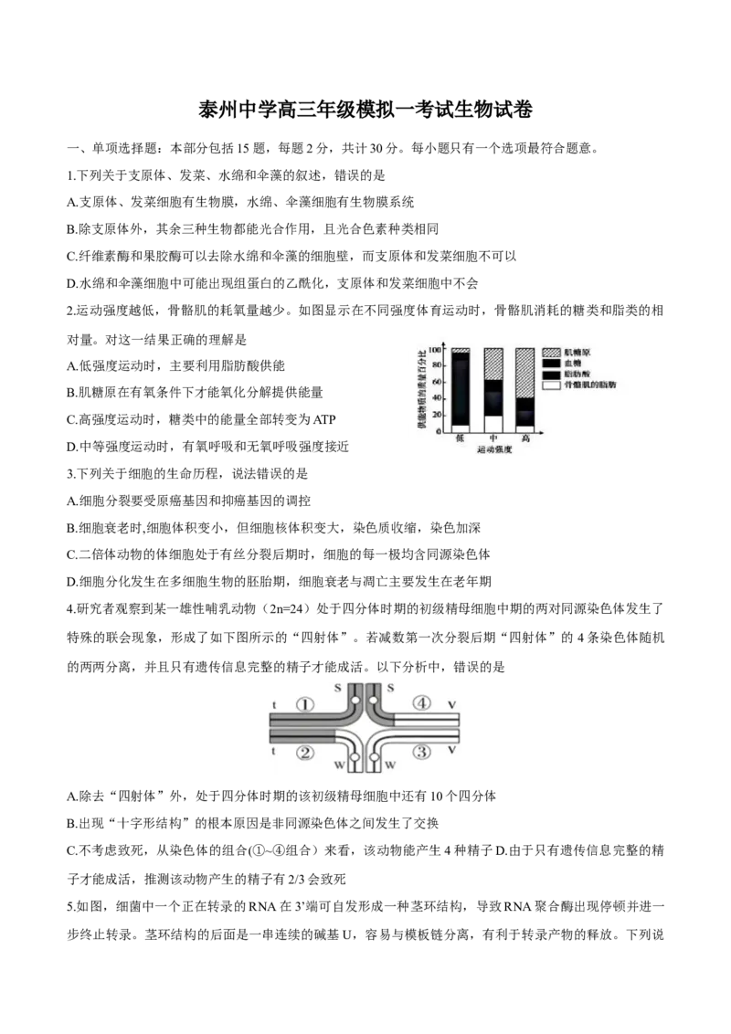江苏省泰州中学2025届高三上学期一模试题生物Word版含答案_2025年1月_250109江苏省泰州中学2025届高三上学期一模试题