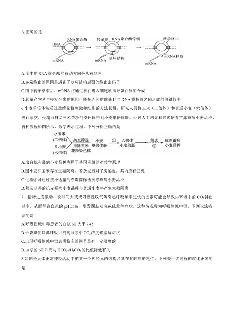 江苏省泰州中学2025届高三上学期一模试题生物Word版含答案_2025年1月_250109江苏省泰州中学2025届高三上学期一模试题