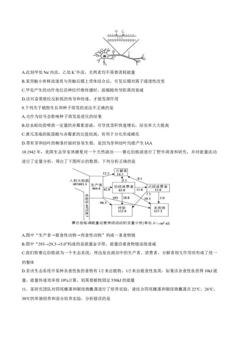 江苏省泰州中学2025届高三上学期一模试题生物Word版含答案_2025年1月_250109江苏省泰州中学2025届高三上学期一模试题