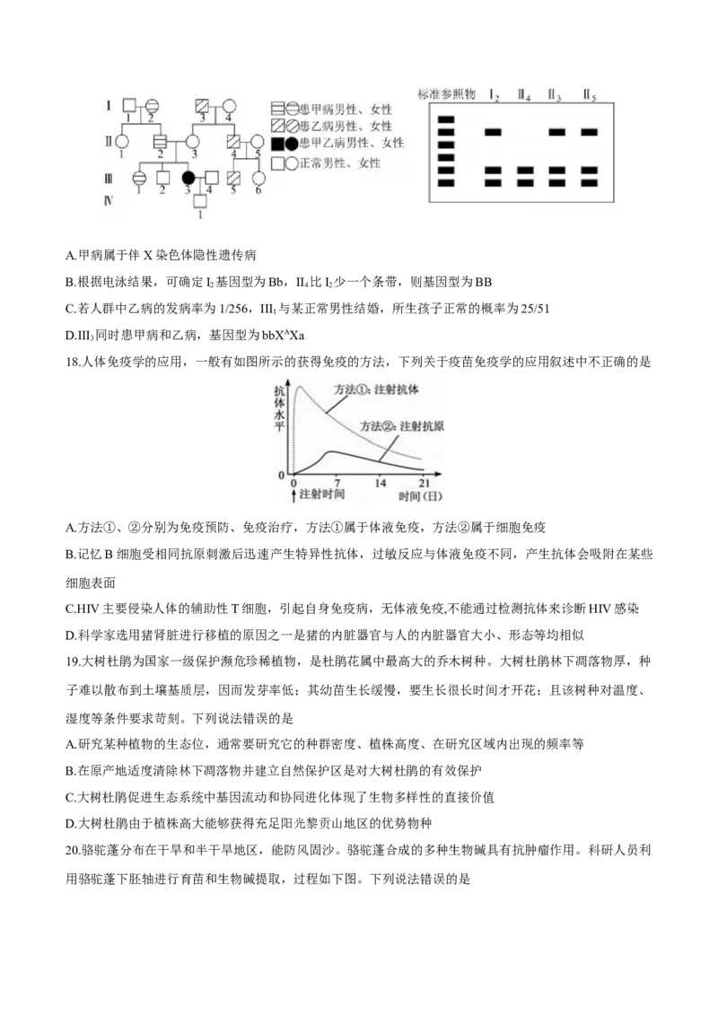 江苏省泰州中学2025届高三上学期一模试题生物Word版含答案_2025年1月_250109江苏省泰州中学2025届高三上学期一模试题