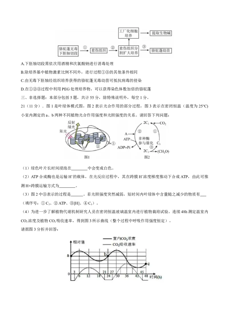 江苏省泰州中学2025届高三上学期一模试题生物Word版含答案_2025年1月_250109江苏省泰州中学2025届高三上学期一模试题
