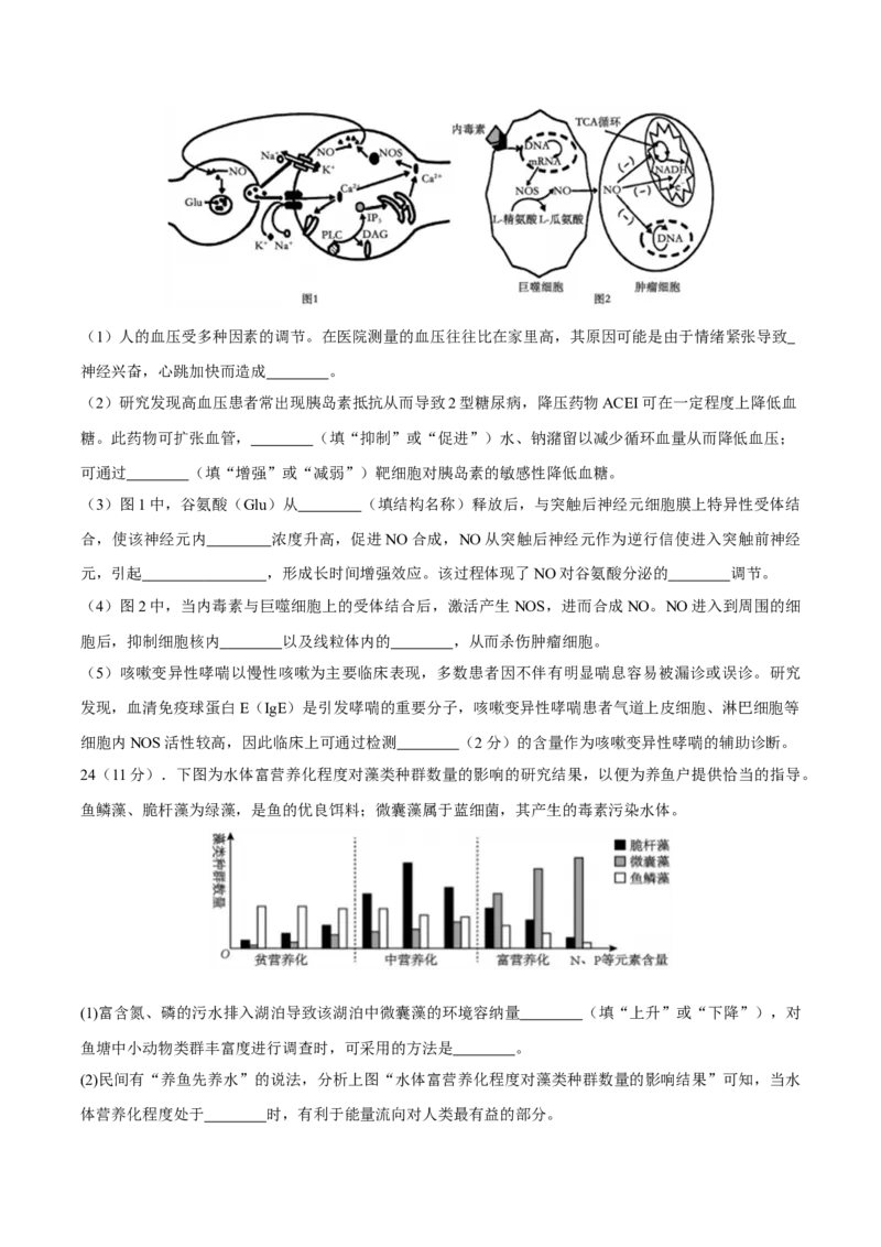 江苏省泰州中学2025届高三上学期一模试题生物Word版含答案_2025年1月_250109江苏省泰州中学2025届高三上学期一模试题