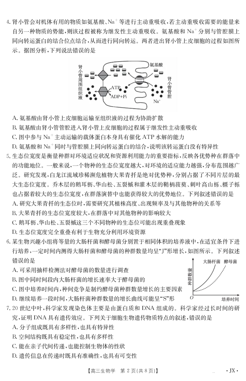 生物江西省2025届高三下学期5月百万大联考（金太阳25-517C）_2025年5月_2505272025届高三下学期5月百万大联考（金太阳25-517C）（全科）
