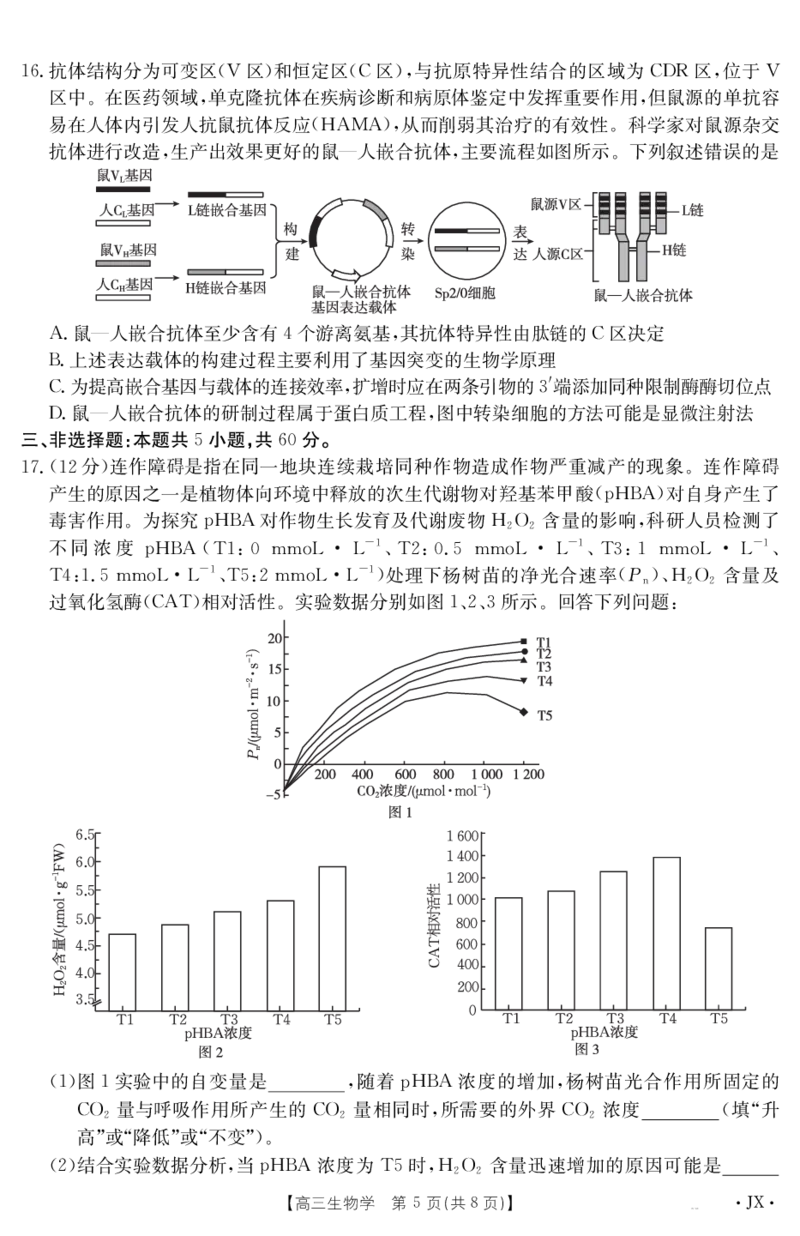 生物江西省2025届高三下学期5月百万大联考（金太阳25-517C）_2025年5月_2505272025届高三下学期5月百万大联考（金太阳25-517C）（全科）