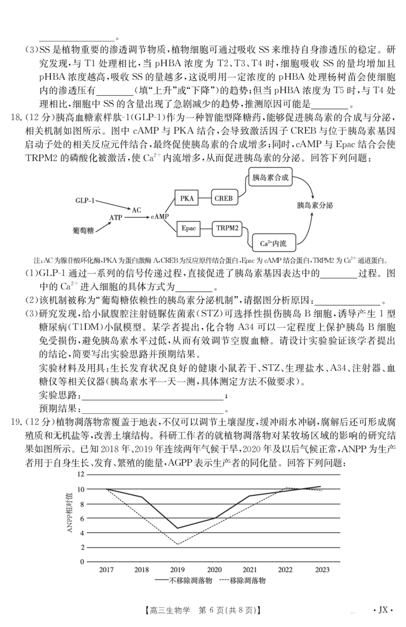 生物江西省2025届高三下学期5月百万大联考（金太阳25-517C）_2025年5月_2505272025届高三下学期5月百万大联考（金太阳25-517C）（全科）