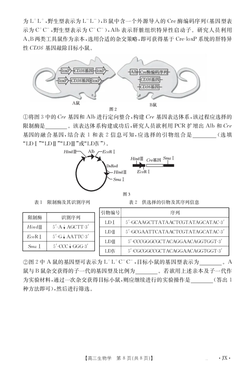 生物江西省2025届高三下学期5月百万大联考（金太阳25-517C）_2025年5月_2505272025届高三下学期5月百万大联考（金太阳25-517C）（全科）