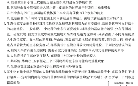 生物江西省2025届高三下学期5月百万大联考（金太阳25-517C）_2025年5月_2505272025届高三下学期5月百万大联考（金太阳25-517C）（全科）