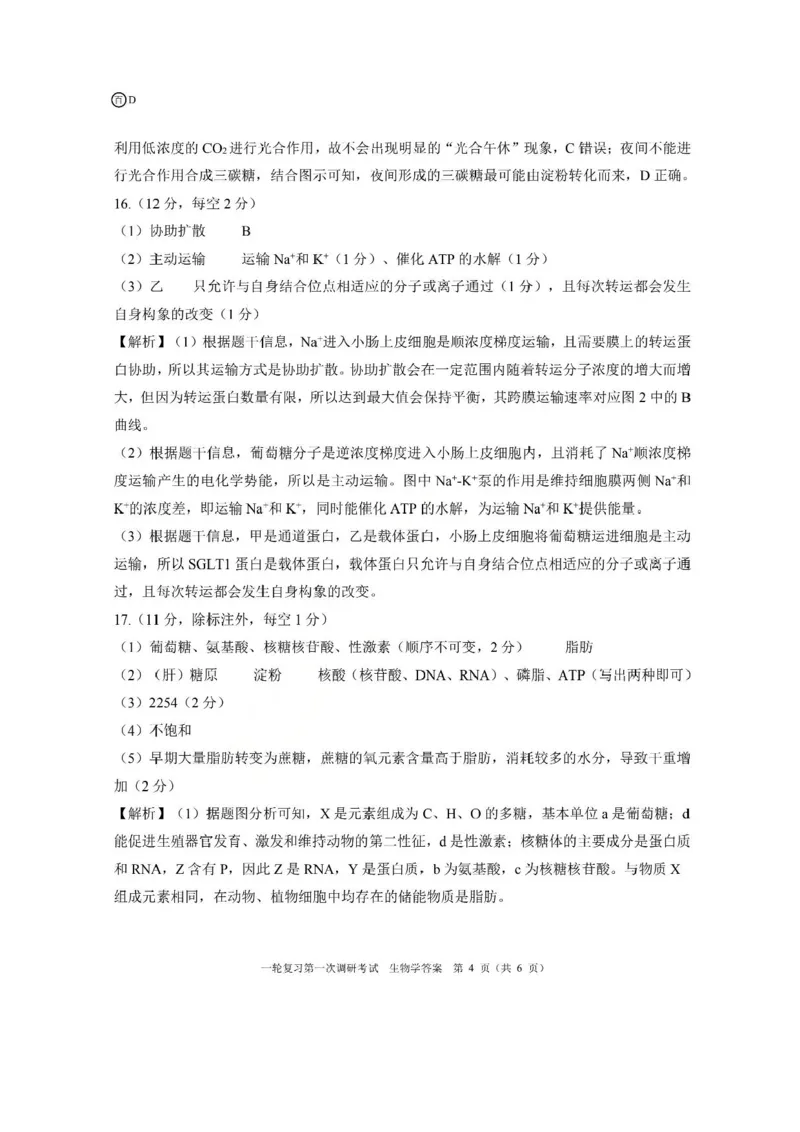 生物答案（D）_2025年10月_2510182026届百师联盟高三上学期第一次调研考试（10月）（全科）_2026届百师联盟高三上学期第一次调研考试生物试卷（含答案）