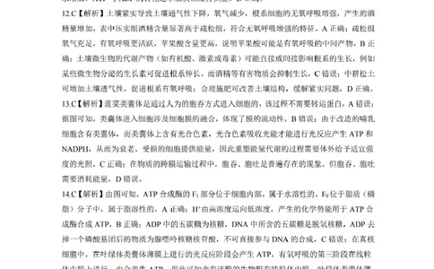 生物答案（D）_2025年10月_2510182026届百师联盟高三上学期第一次调研考试（10月）（全科）_2026届百师联盟高三上学期第一次调研考试生物试卷（含答案）