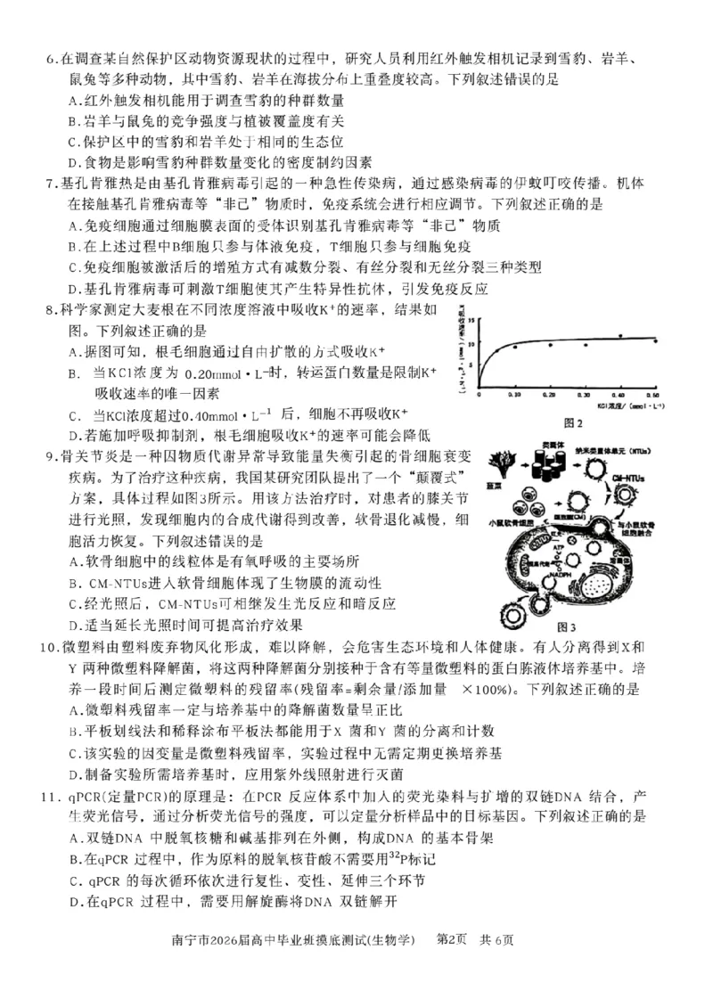 南宁2026届高三10月摸底考生物试卷（含答案）_2025年10月_12026年试卷教辅资源等多个文件_251026广西省南宁市2026届高中毕业班10月摸底测试（全科）