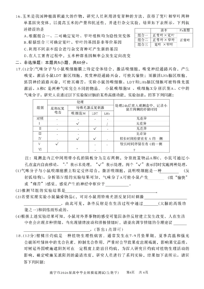 南宁2026届高三10月摸底考生物试卷（含答案）_2025年10月_12026年试卷教辅资源等多个文件_251026广西省南宁市2026届高中毕业班10月摸底测试（全科）