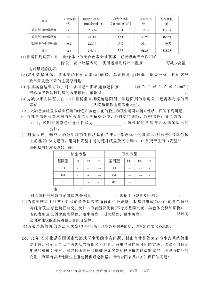 南宁2026届高三10月摸底考生物试卷（含答案）_2025年10月_12026年试卷教辅资源等多个文件_251026广西省南宁市2026届高中毕业班10月摸底测试（全科）