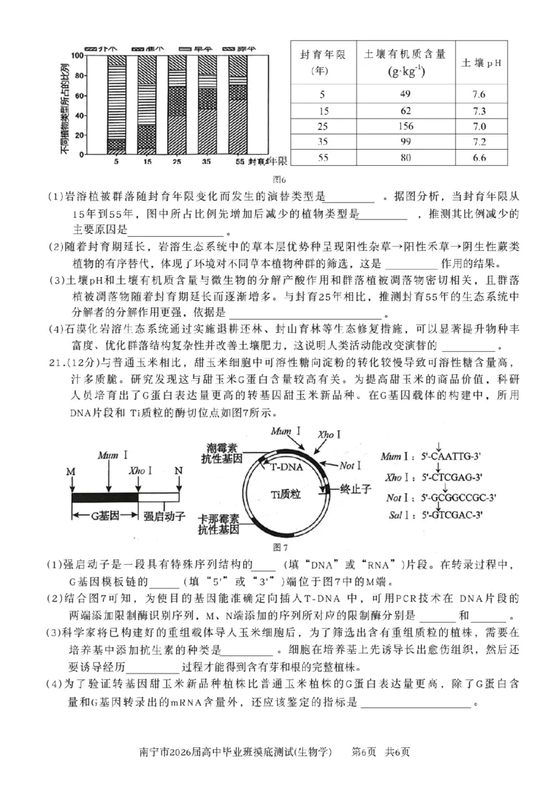 南宁2026届高三10月摸底考生物试卷（含答案）_2025年10月_12026年试卷教辅资源等多个文件_251026广西省南宁市2026届高中毕业班10月摸底测试（全科）