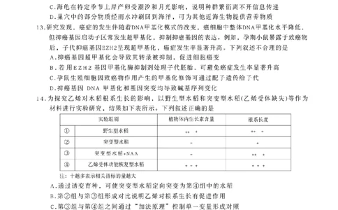 南宁2026届高三10月摸底考生物试卷（含答案）_2025年10月_12026年试卷教辅资源等多个文件_251026广西省南宁市2026届高中毕业班10月摸底测试（全科）