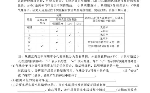 南宁2026届高三10月摸底考生物试卷（含答案）_2025年10月_12026年试卷教辅资源等多个文件_251026广西省南宁市2026届高中毕业班10月摸底测试（全科）