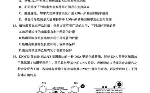 生物试卷-台州市2026届高三第一次教学质量评估_2025年11月_251117浙江台州一模-台州市2026届高三第一次教学质量评估（全科）_浙江省台州市2026届高三第一次教学质量评估生物