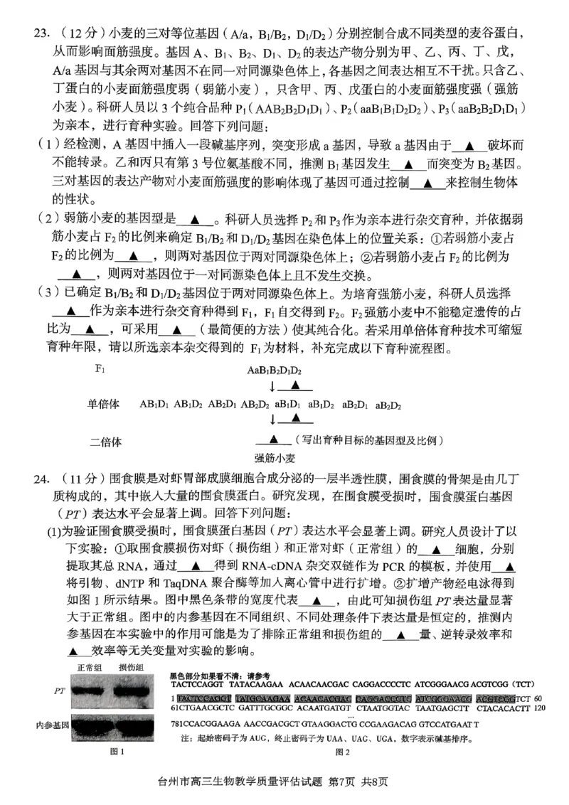 生物试卷-台州市2026届高三第一次教学质量评估_2025年11月_251117浙江台州一模-台州市2026届高三第一次教学质量评估（全科）_浙江省台州市2026届高三第一次教学质量评估生物