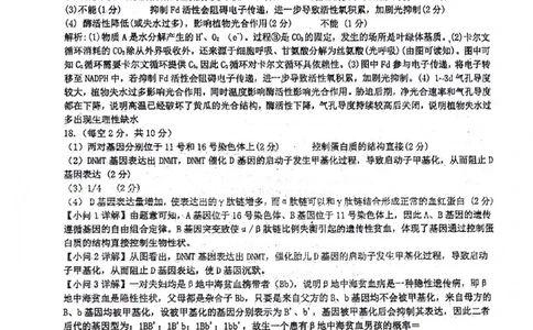 绵阳南山中学高2023级&ldquo;绵阳一诊&rdquo;热身考试生物答案_2025年10月_251028四川省绵阳南山中学高2023级&ldquo;绵阳一诊&rdquo;热身考试