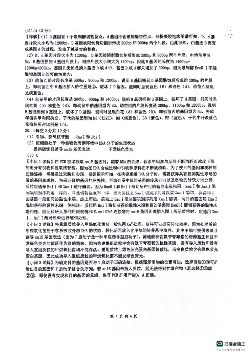 绵阳南山中学高2023级&ldquo;绵阳一诊&rdquo;热身考试生物答案_2025年10月_251028四川省绵阳南山中学高2023级&ldquo;绵阳一诊&rdquo;热身考试