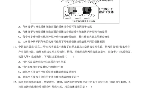 高二生物上第一次月考测试范围：选择性必修1第1、2章（考试版）（人教版2019）_1多考区联考试卷_2510142025-2026学年高二生物上学期第一次月考试题