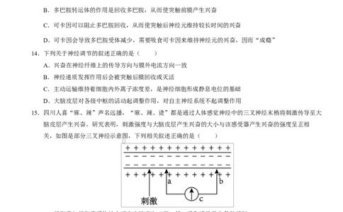 高二生物上第一次月考测试范围：选择性必修1第1、2章（考试版）（人教版2019）_1多考区联考试卷_2510142025-2026学年高二生物上学期第一次月考试题