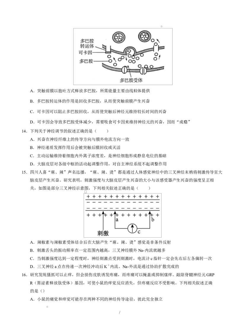 高二生物上第一次月考测试范围：选择性必修1第1、2章（考试版）（人教版2019）_1多考区联考试卷_2510142025-2026学年高二生物上学期第一次月考试题