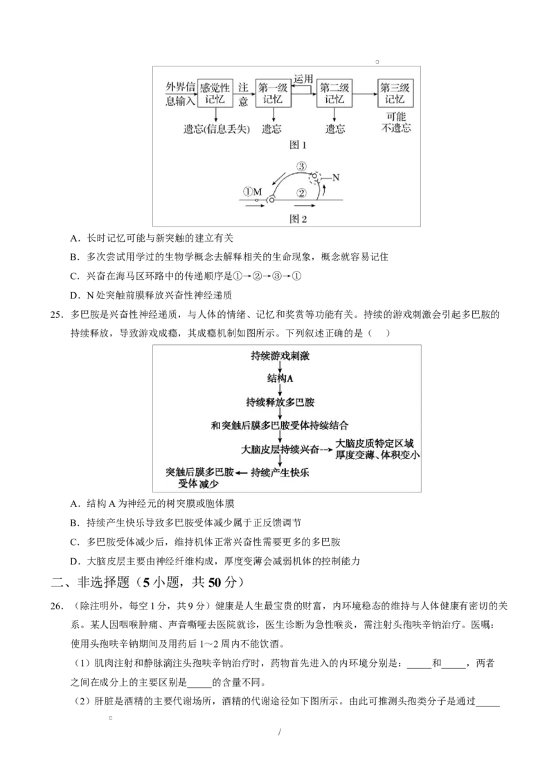 高二生物上第一次月考测试范围：选择性必修1第1、2章（考试版）（人教版2019）_1多考区联考试卷_2510142025-2026学年高二生物上学期第一次月考试题