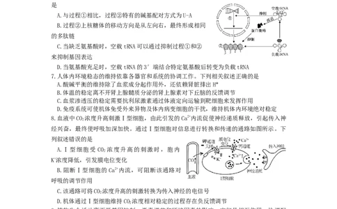 江苏省南京市六校联合体2025-2026学年高三上学期8月学情调研考试生物试题_2025年8月_250829江苏省南京市六校联合体2025-2026学年高三上学期8月学情调研测试（全科）