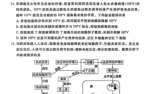 河北省承德、张家口市2025届高三下学期统一模拟考试（一）生物试题_2025年3月_250313河北省承德、张家口市2025届高三下学期统一模拟考试（一）（全科）