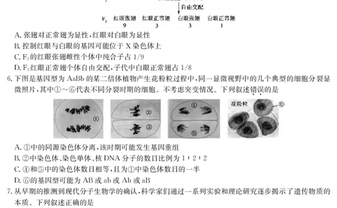 四川省九师联盟2025届高三仿真模拟卷生物(AG)_2025年5月_250511九师联盟2025届高三仿真模拟卷（G）（全科）