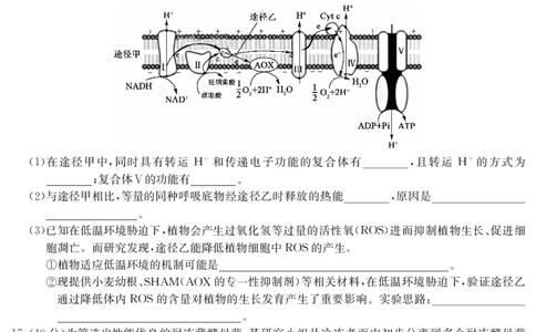 四川省九师联盟2025届高三仿真模拟卷生物(AG)_2025年5月_250511九师联盟2025届高三仿真模拟卷（G）（全科）