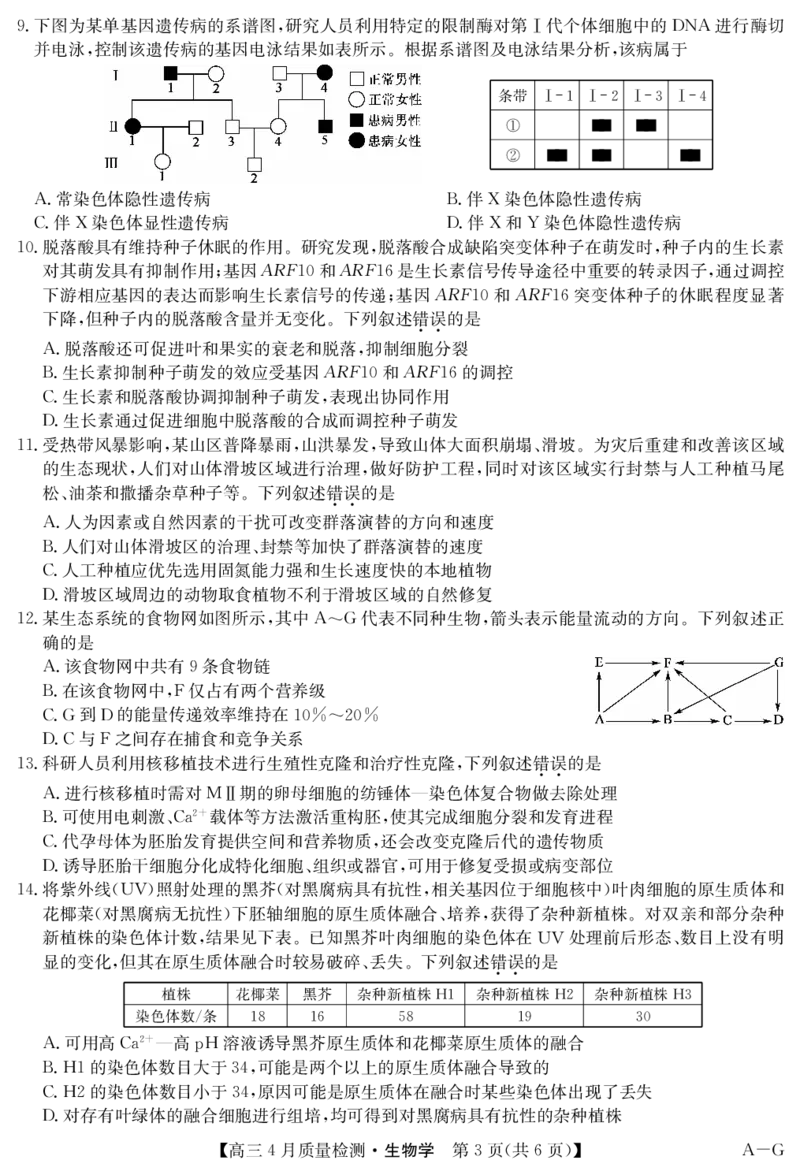 四川省九师联盟2025届高三仿真模拟卷生物(AG)_2025年5月_250511九师联盟2025届高三仿真模拟卷（G）（全科）