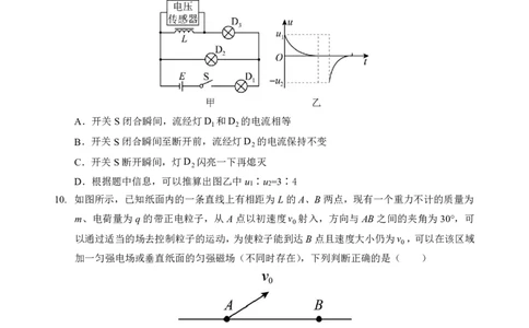 物理试卷_2025年5月_250531湖北省黄石二中2025届高三下学期适应性考试（一）（全科）_黄石二中2025届高三下学期适应性考试（一）物理