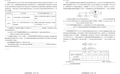 广东省部分学校2025-2026学年高三上学期开学生物试题_2025年8月_250805广东衡水金卷2026届新高三开学联考_广东省衡水金卷2025-2026学年高三上学期开学联考生物试题