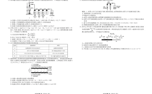 广东衡水金卷2026届高三上学期11月模拟预测化学试题_2025年11月_251126广东衡水金卷2026届高三11月份联考（全科）_广东衡水金卷2026届高三11月份联考化学（含答案）