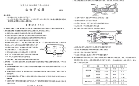 安徽省江淮十校2026届高三上学期8月第一次联考生物学试卷（含答案）_2025年8月_2508272026届安徽江淮十校高三上学期第一次联考（全科）