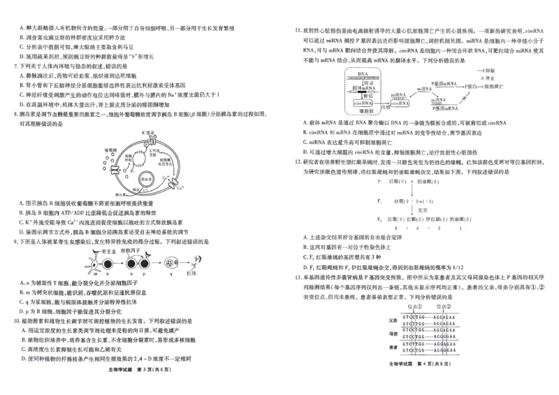 安徽省江淮十校2026届高三上学期8月第一次联考生物学试卷（含答案）_2025年8月_2508272026届安徽江淮十校高三上学期第一次联考（全科）