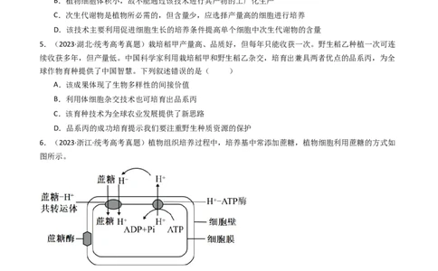 专题24细胞工程与胚胎工程（原卷卷）_近10年高考真题汇编（必刷）_十年（2014-2024）高考生物真题分项汇编（全国通用）_十年（2014-2023）高考生物真题分项汇编（全国通用）