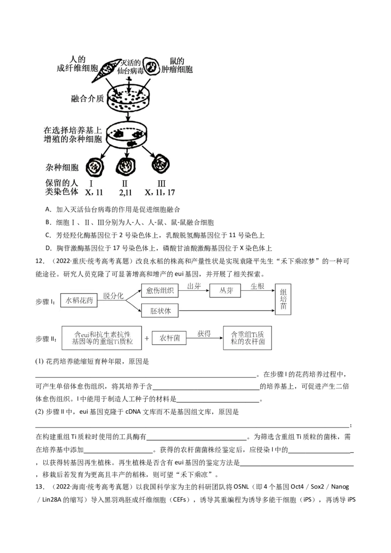 专题24细胞工程与胚胎工程（原卷卷）_近10年高考真题汇编（必刷）_十年（2014-2024）高考生物真题分项汇编（全国通用）_十年（2014-2023）高考生物真题分项汇编（全国通用）