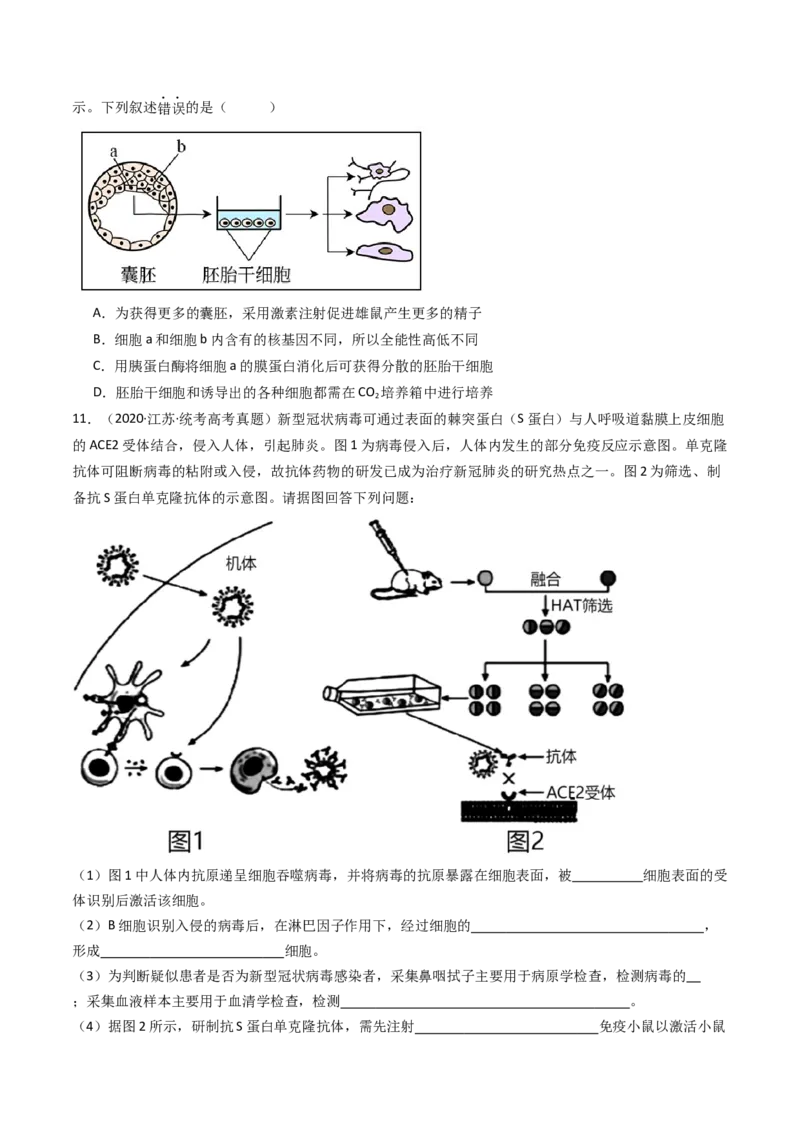 专题24细胞工程与胚胎工程（原卷卷）_近10年高考真题汇编（必刷）_十年（2014-2024）高考生物真题分项汇编（全国通用）_十年（2014-2023）高考生物真题分项汇编（全国通用）
