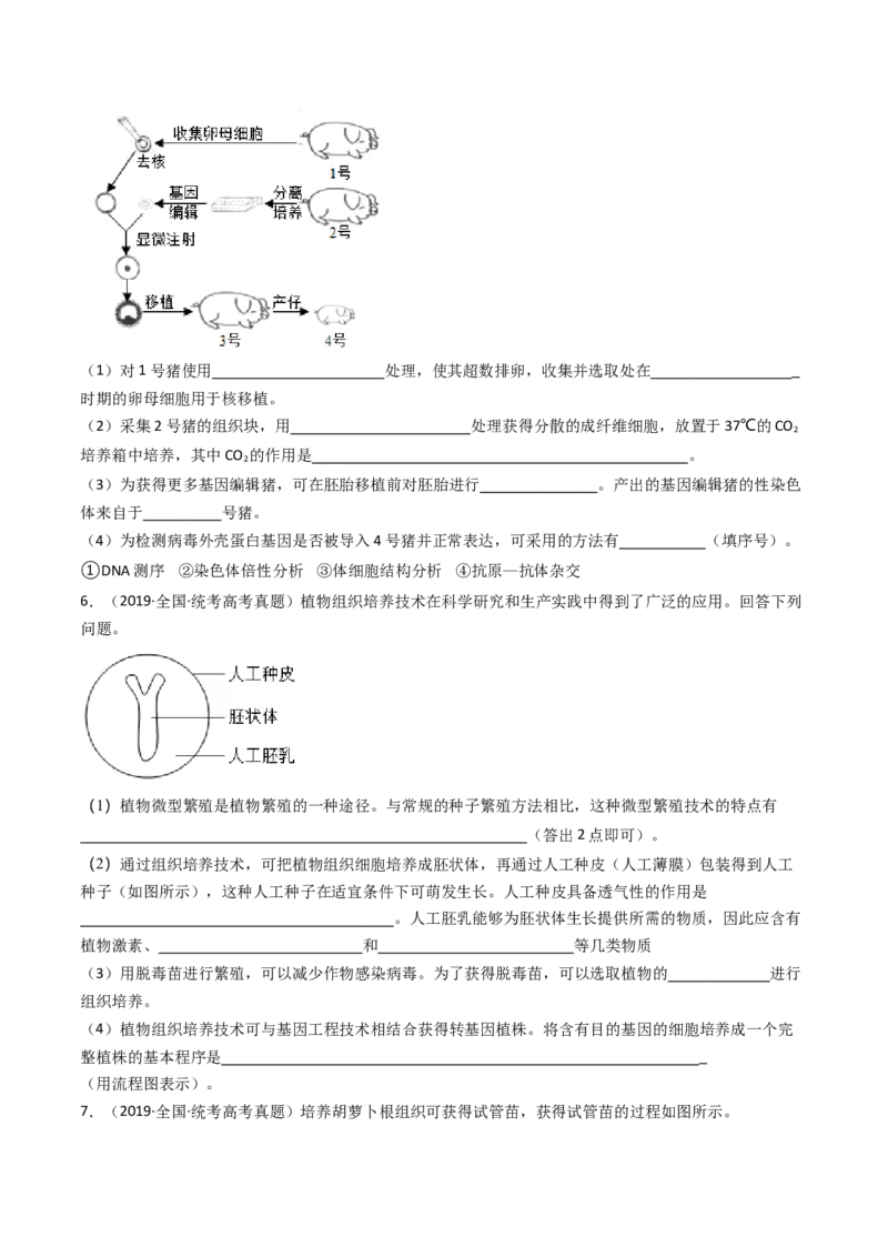 专题24细胞工程与胚胎工程（原卷卷）_近10年高考真题汇编（必刷）_十年（2014-2024）高考生物真题分项汇编（全国通用）_十年（2014-2023）高考生物真题分项汇编（全国通用）