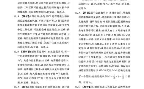 河南青桐鸣大联考2025年高三考前适应性考试-生物答案_2025年5月_2505172025届河南省青桐鸣5月大联考高三考前适应性考试（全科）_2025届河南省高三考前适应性考试&middot;青桐鸣5月大联考生物