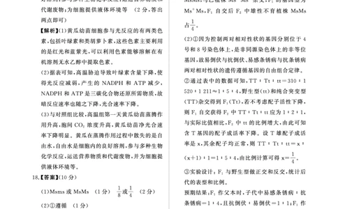 河南青桐鸣大联考2025年高三考前适应性考试-生物答案_2025年5月_2505172025届河南省青桐鸣5月大联考高三考前适应性考试（全科）_2025届河南省高三考前适应性考试&middot;青桐鸣5月大联考生物