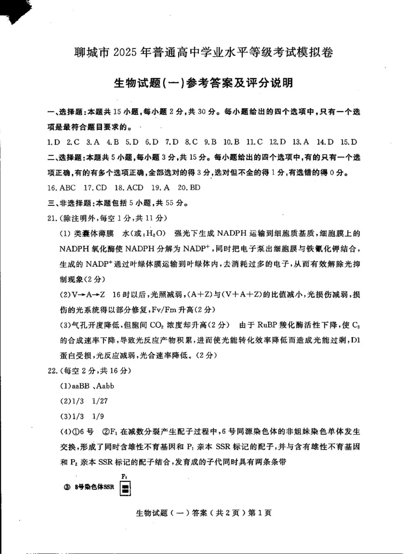 山东省聊城市2025年普通高中学业水平等级考试模拟卷生物答案_2025年3月_250310山东省聊城市2025年普通高中学业水平等级考试模拟卷（聊城一模）（全科）