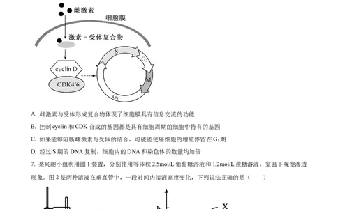 精品解析：重庆实验外国语学校2025-2026学年高三上学期9月月考2生物试题（原卷版）_2025年10月_251001重庆实验外国语学校2025-2026学年高三上学期9月月考（二）（全科）