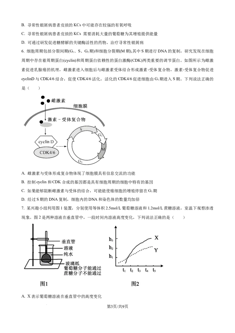 精品解析：重庆实验外国语学校2025-2026学年高三上学期9月月考2生物试题（原卷版）_2025年10月_251001重庆实验外国语学校2025-2026学年高三上学期9月月考（二）（全科）