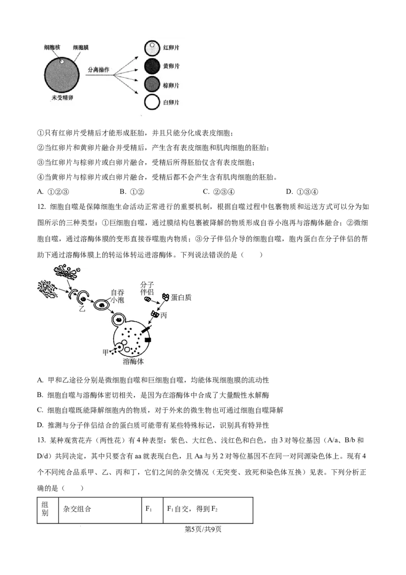 精品解析：重庆实验外国语学校2025-2026学年高三上学期9月月考2生物试题（原卷版）_2025年10月_251001重庆实验外国语学校2025-2026学年高三上学期9月月考（二）（全科）