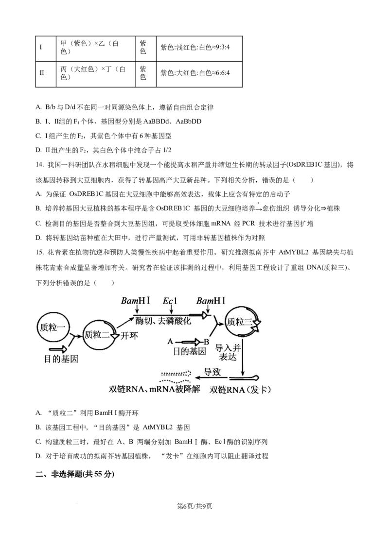 精品解析：重庆实验外国语学校2025-2026学年高三上学期9月月考2生物试题（原卷版）_2025年10月_251001重庆实验外国语学校2025-2026学年高三上学期9月月考（二）（全科）